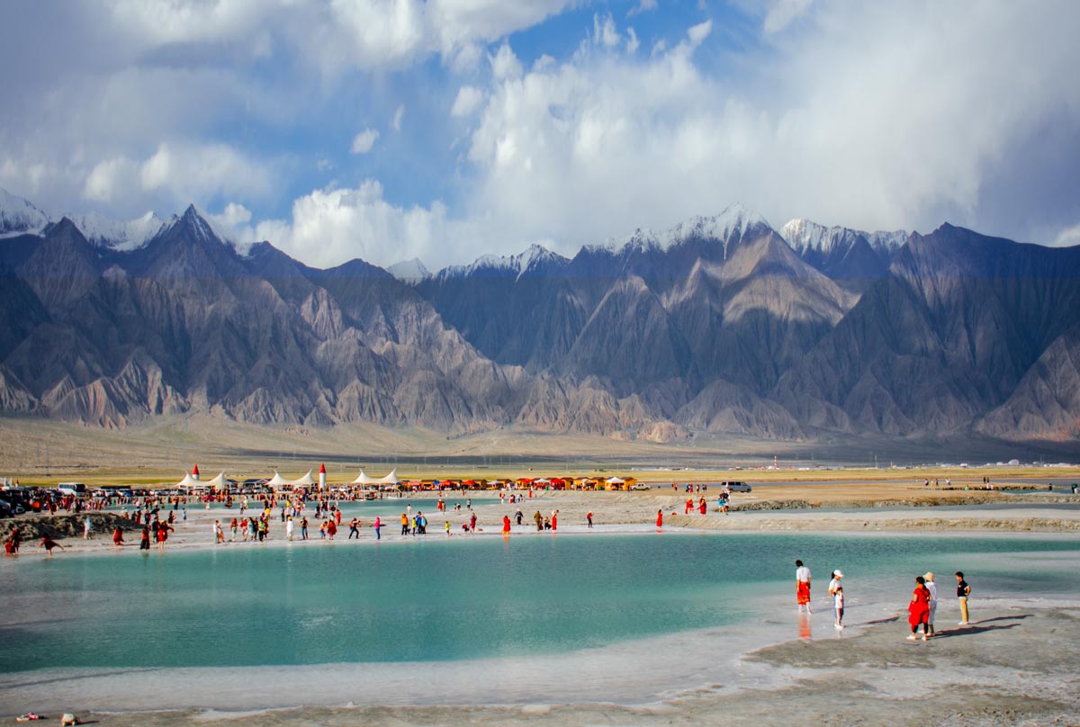 我的旅行日记之青海,我的旅行日记高原茶场