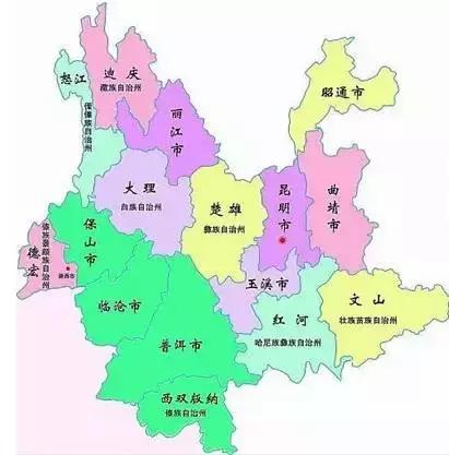 普洱茶藤条分布在哪里,普洱茶的茶山分布之四大茶区