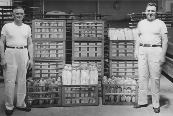 旧金山适合种植植物,旧金山为什么那么美