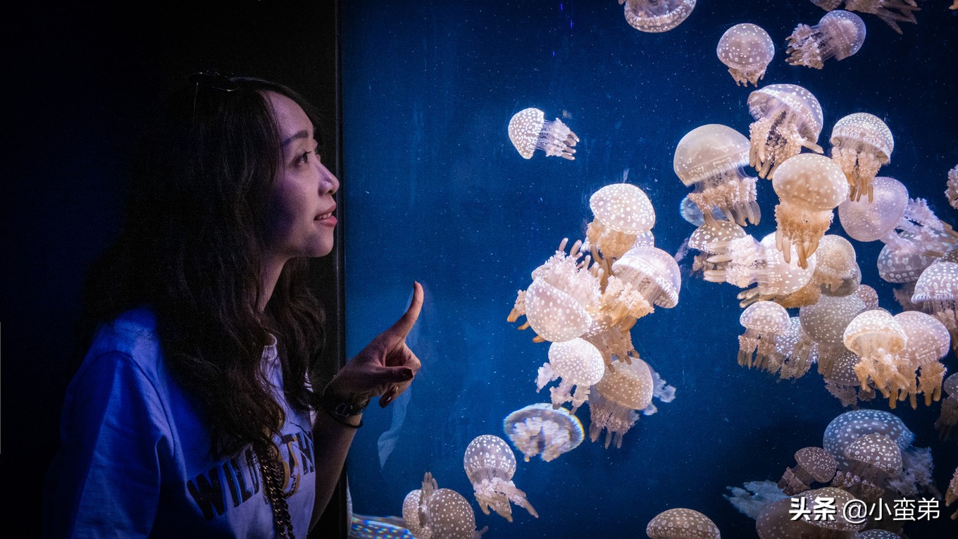 5年之许，小白逆袭重返新加坡