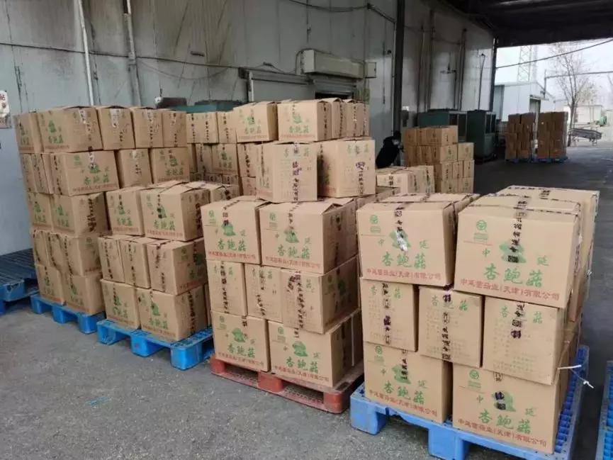 天津市今天的静海消息,天津骄傲的大静海