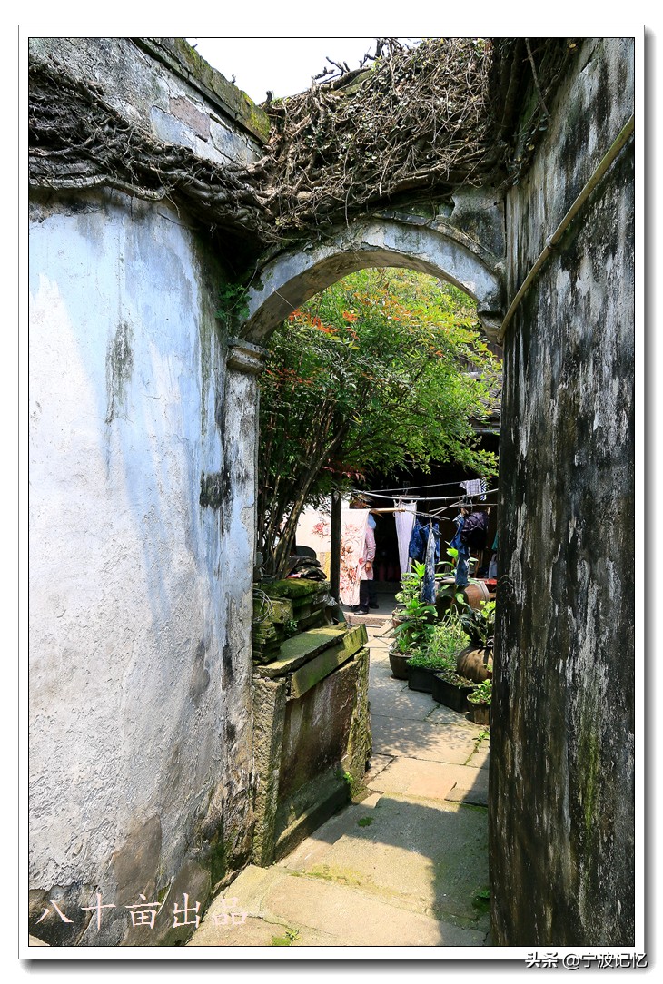 镇海十大古村落,宁波镇海区骆驼街道清水湖村