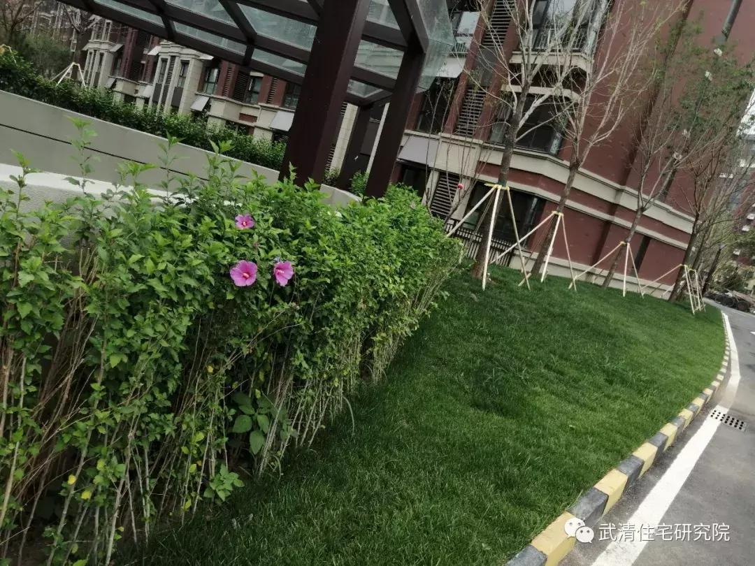 武清南湖片区房子值得投资吗,武清南湖地铁五号线规划图