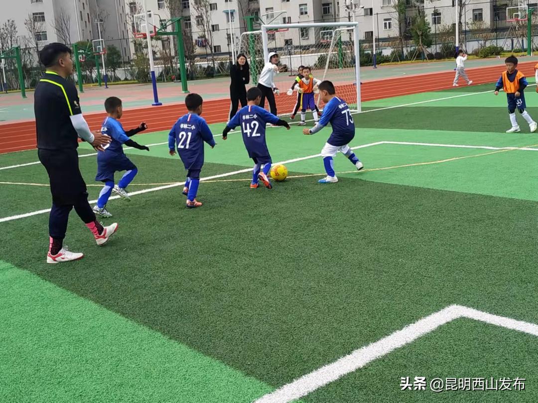 激情绿茵,校园足球联赛精彩纷呈