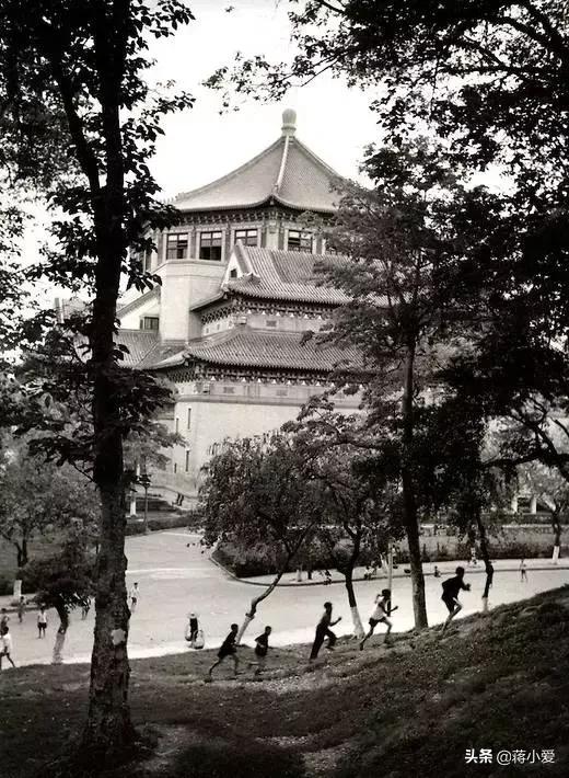 60年代新西兰,六十年代新西兰