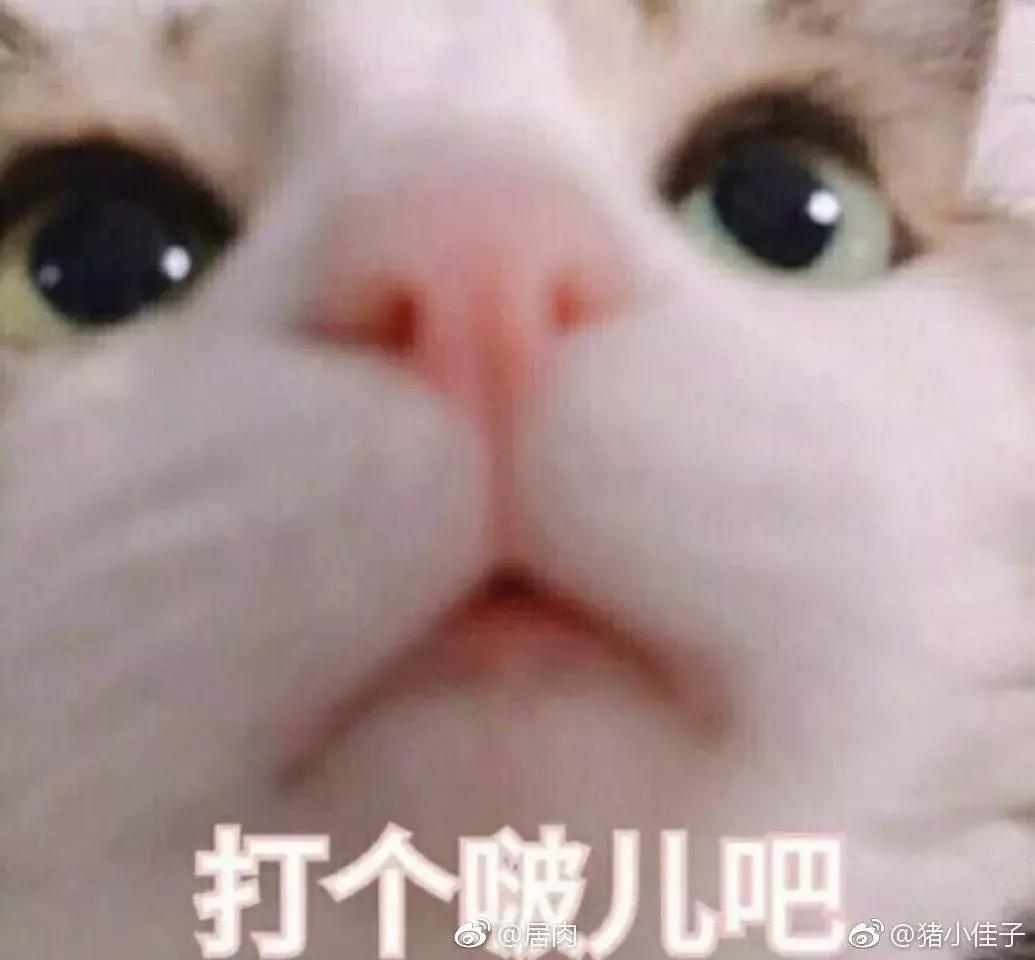 张智霖买爱马仕包,张智霖说袁咏仪爱马仕