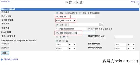智能dns系统搭建,公司内网搭建dns服务器