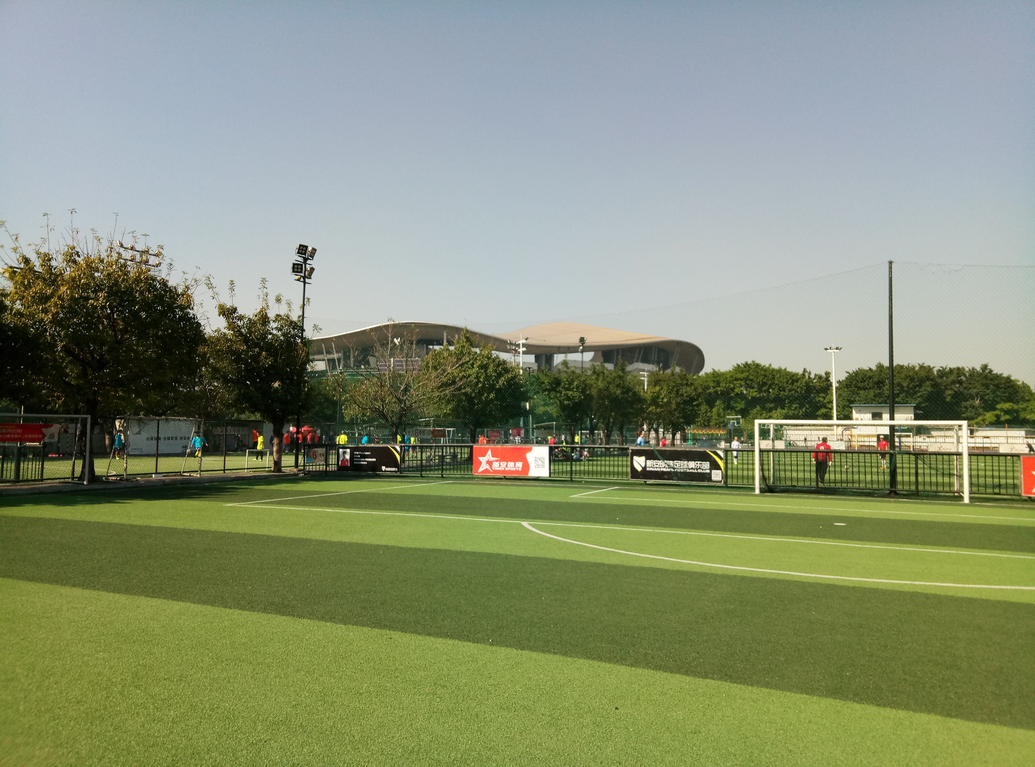 巴西不敌阿根廷世预赛,巴西战胜秘鲁第九次获美洲杯冠军