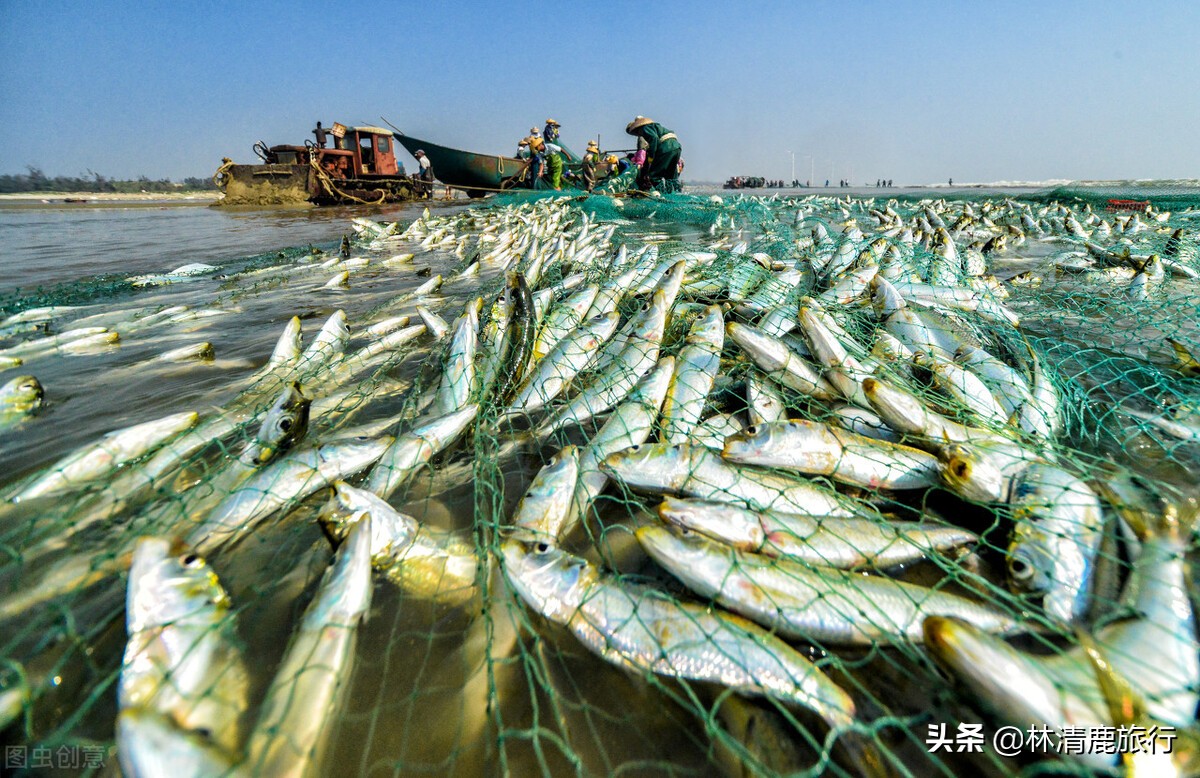 广东湛江养老合适吗,广东湛江适合养老吗气候潮湿吗