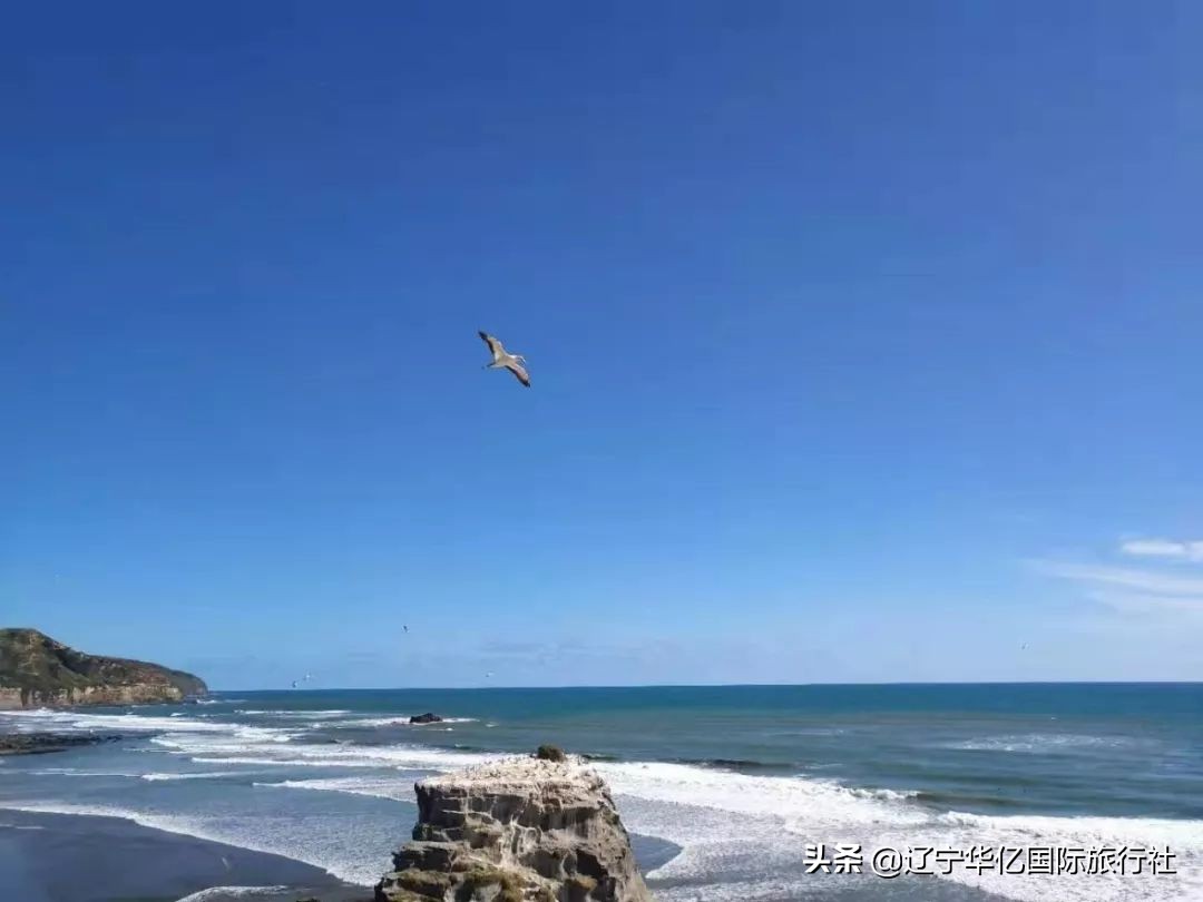 看世界震撼视频,看世界的震撼