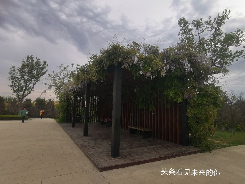 烟台开发区福莱山公园最新消息,烟台开发区福莱山公园喷泉时间