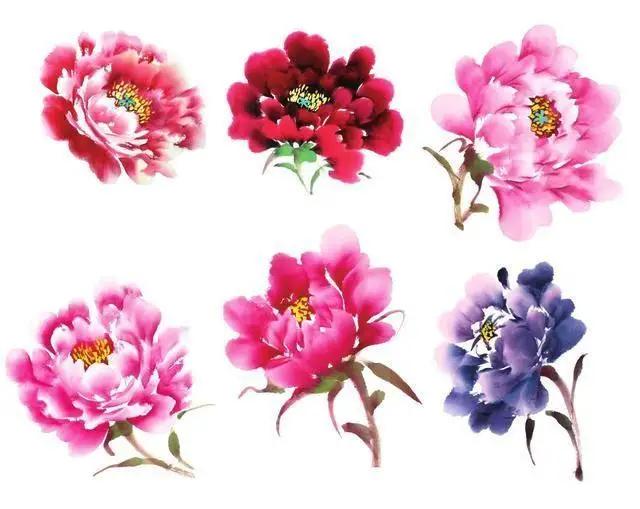 学习写意牡丹画的方法,学习写意牡丹画的步骤