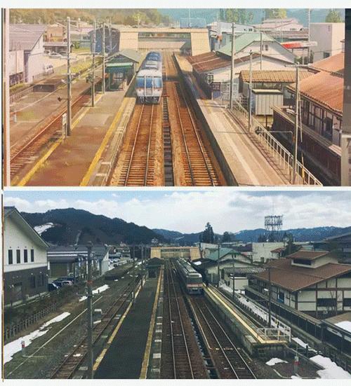 去日本看樱花的攻略,日本人第一次到中国看最大的樱花