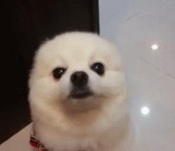 这9种物品用过之后别急着扔,9种不起眼的物品巧利用