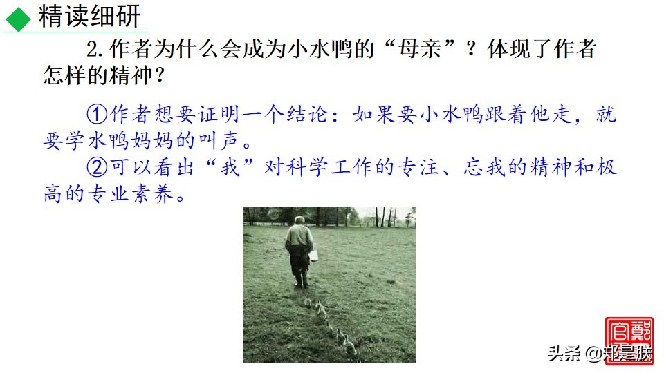 七上人教版第十七课动物笑谈课件,七上语文动物笑谈