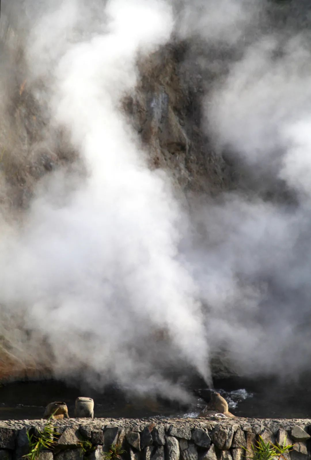 云南最适合养老的小镇,云南最适合养老的4座城环境好