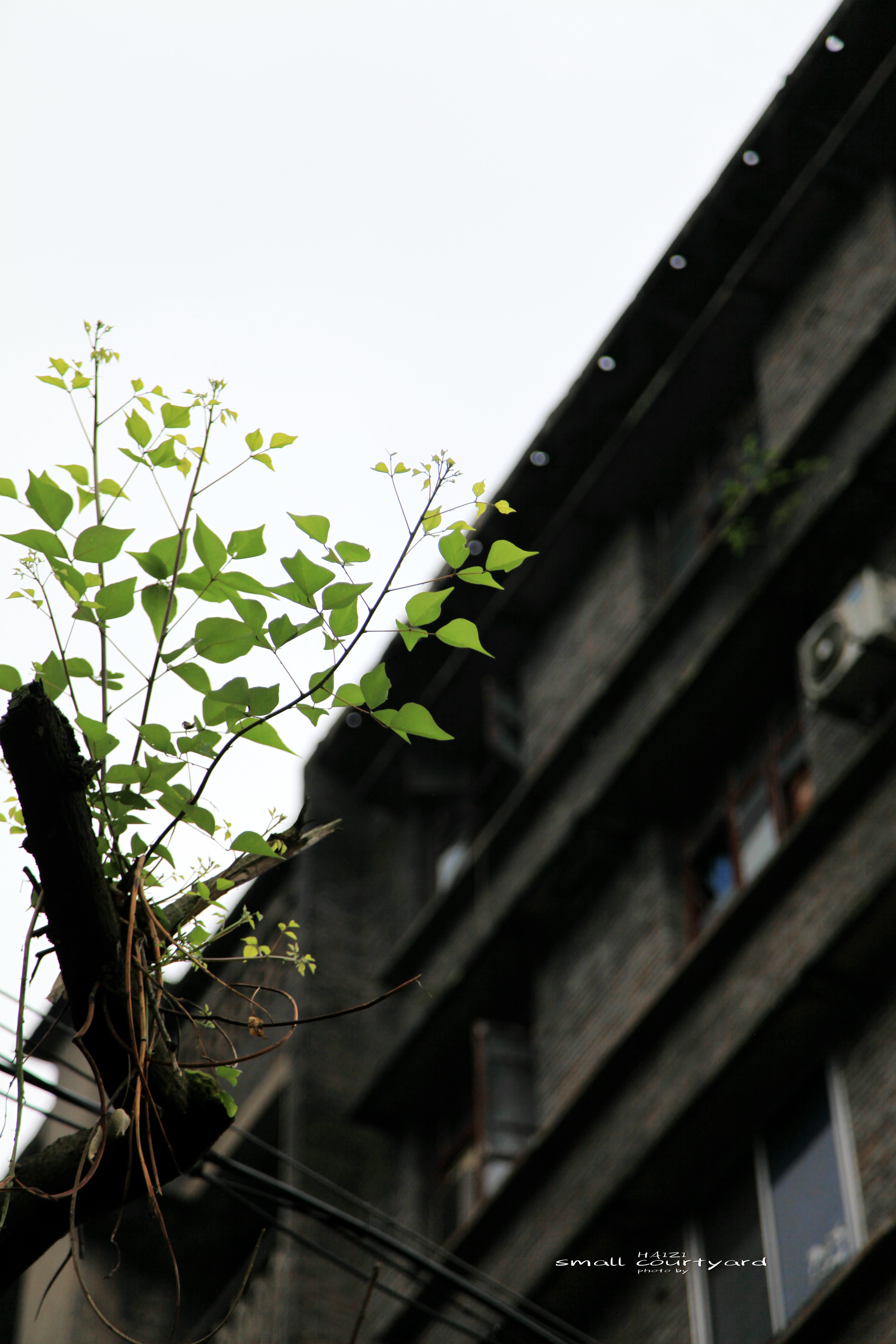 北碚区原三线建设老厂区,北碚机械工业部第三设计院