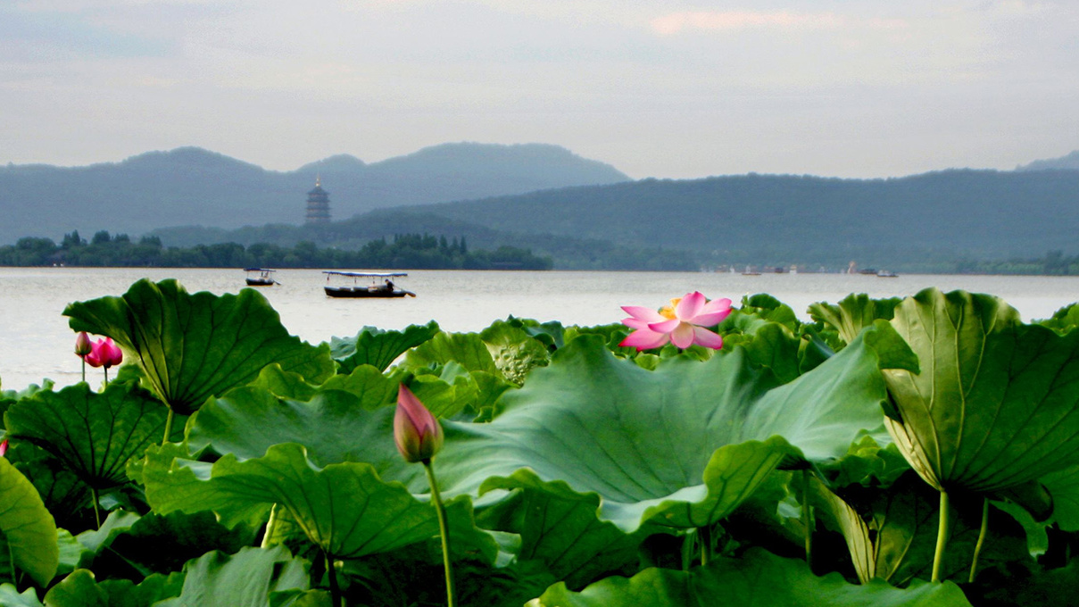 四川旅游踩坑的地方,贵州旅游踩坑