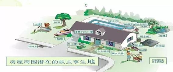 春夏交替,桂林天气闷,专家教您灭“四害”小窍门