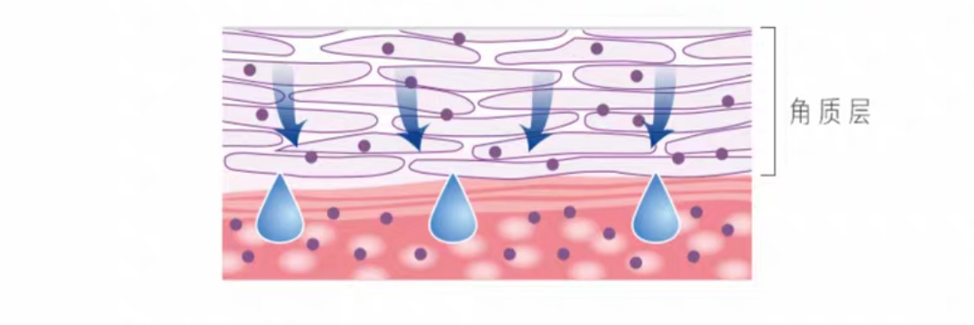 sk2小灯泡跟科颜氏哪个美白效果好,有没有sk2美白小灯泡的平价代替品