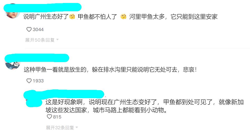 广州生态甲鱼,生态环境改善娃娃鱼现身长江