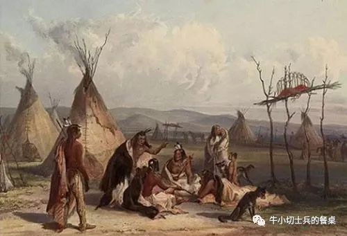 印第安人狩猎美洲野牛,美洲野牛印第安人