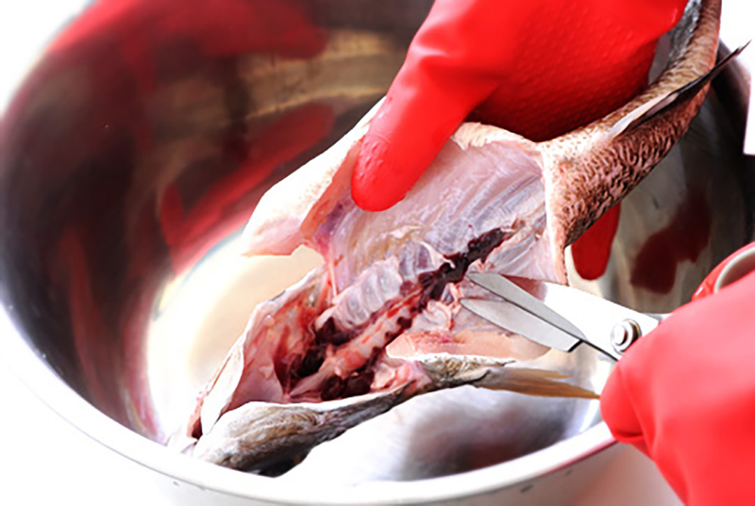 鱼汤熬出来有点发黑什么原因,鱼汤熬出来很浑浊怎么办