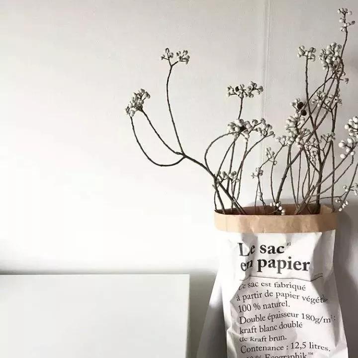 她用这种高颜值的干花装饰家里,隔壁邻居都惊叹不已