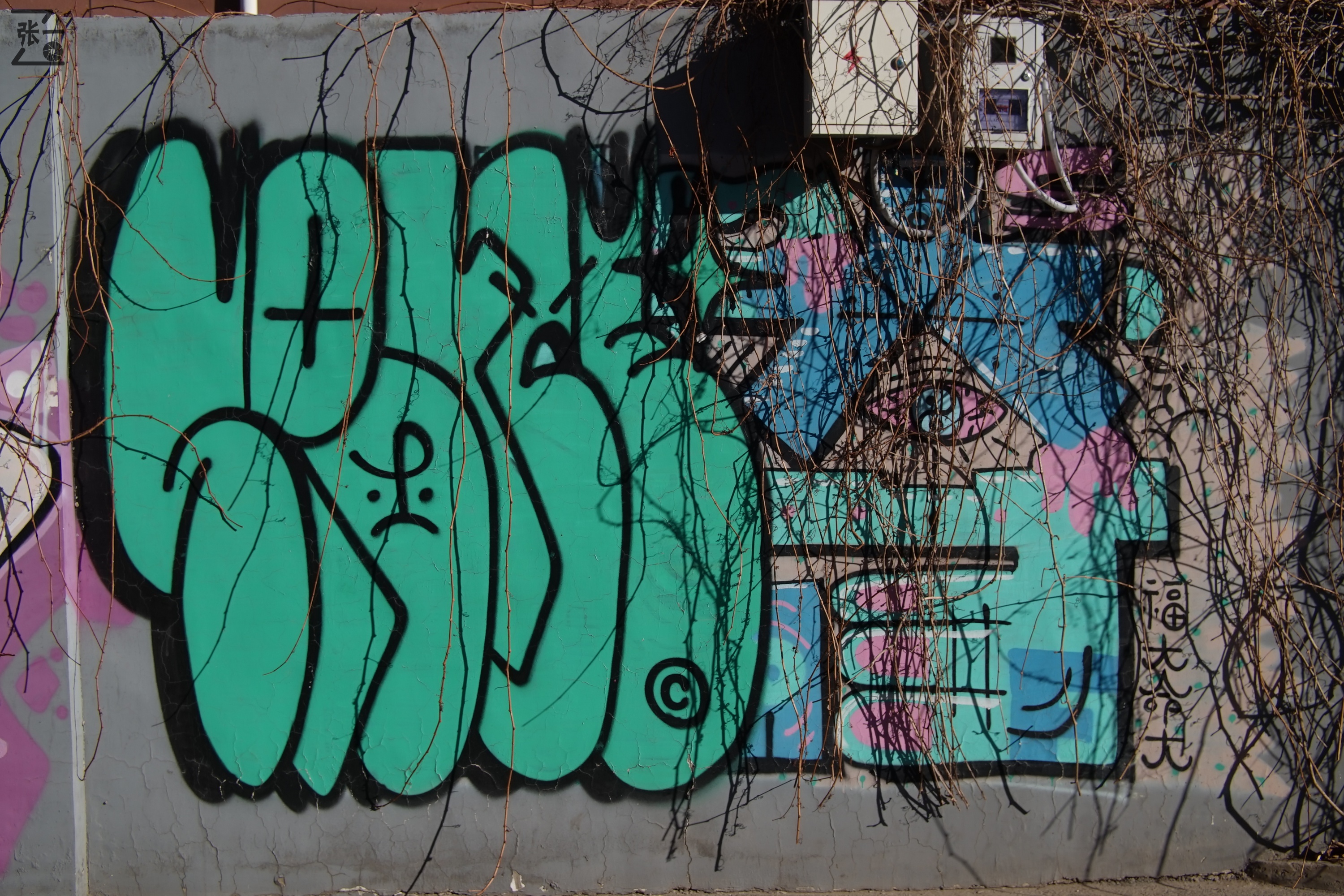 中国产微单,24-135镜头索尼