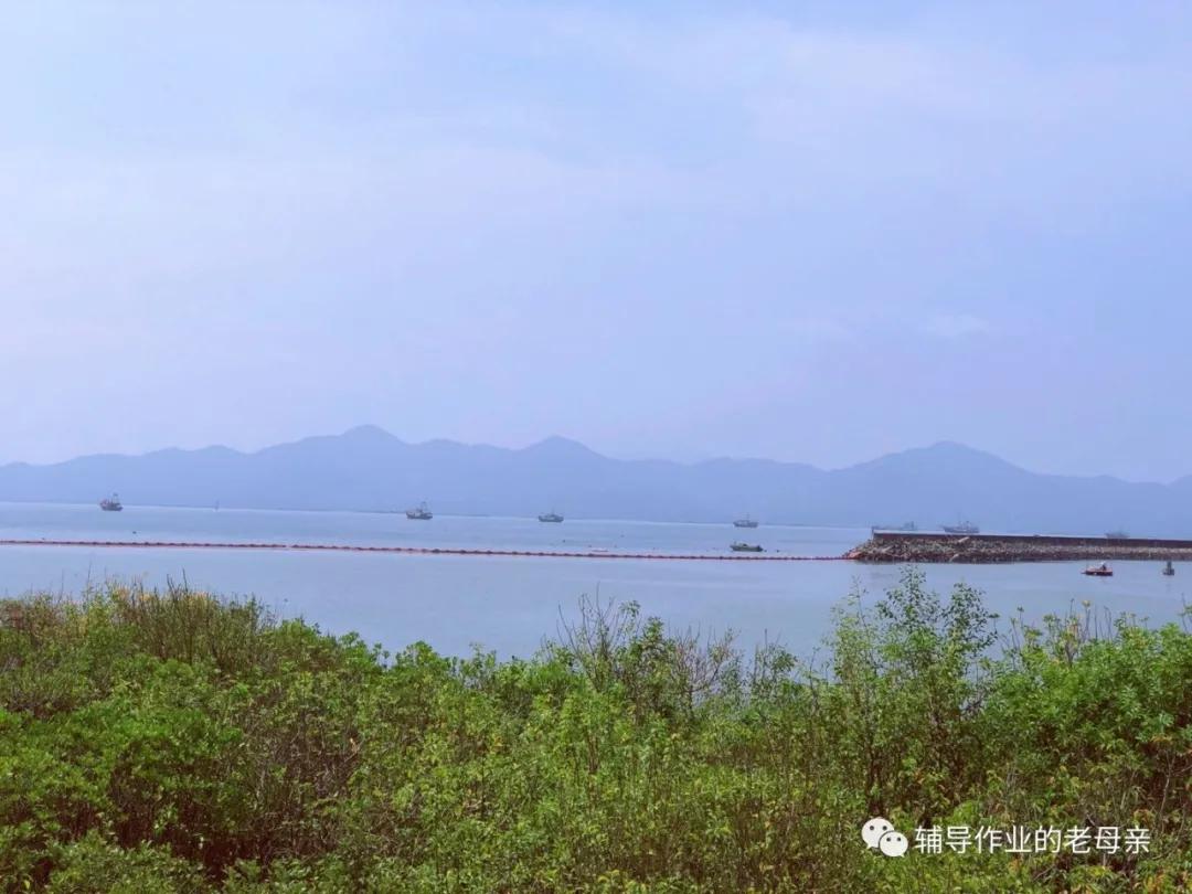 辅导孩子遇到不会的数学题怎么办,小孩遇到不会的数学问题怎么办