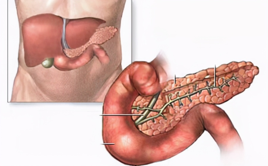 50岁的阿姨早上要吃什么,50岁阿姨饮食
