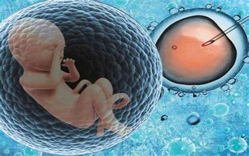 弱精症调理不到一个月就怀孕了,男人弱精症10%能自然受孕吗