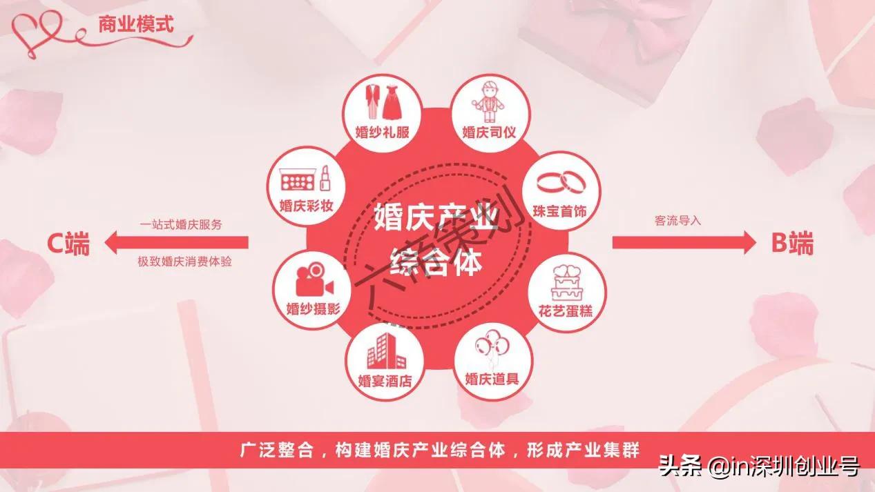 商业计划书融资成功案例,品牌融资商业计划书ppt案例