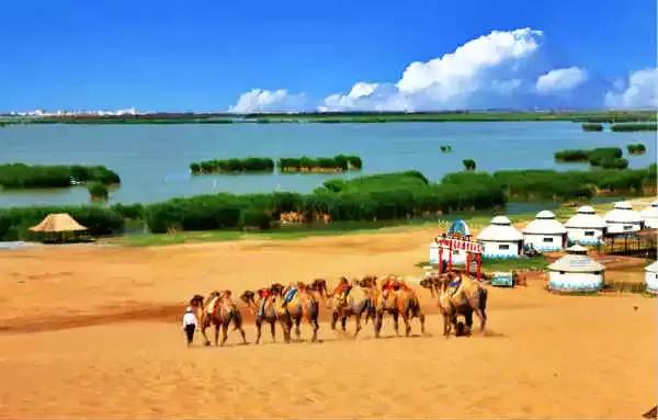 全国各地食材特产一览表建议收藏,上海特产必买清单一览表