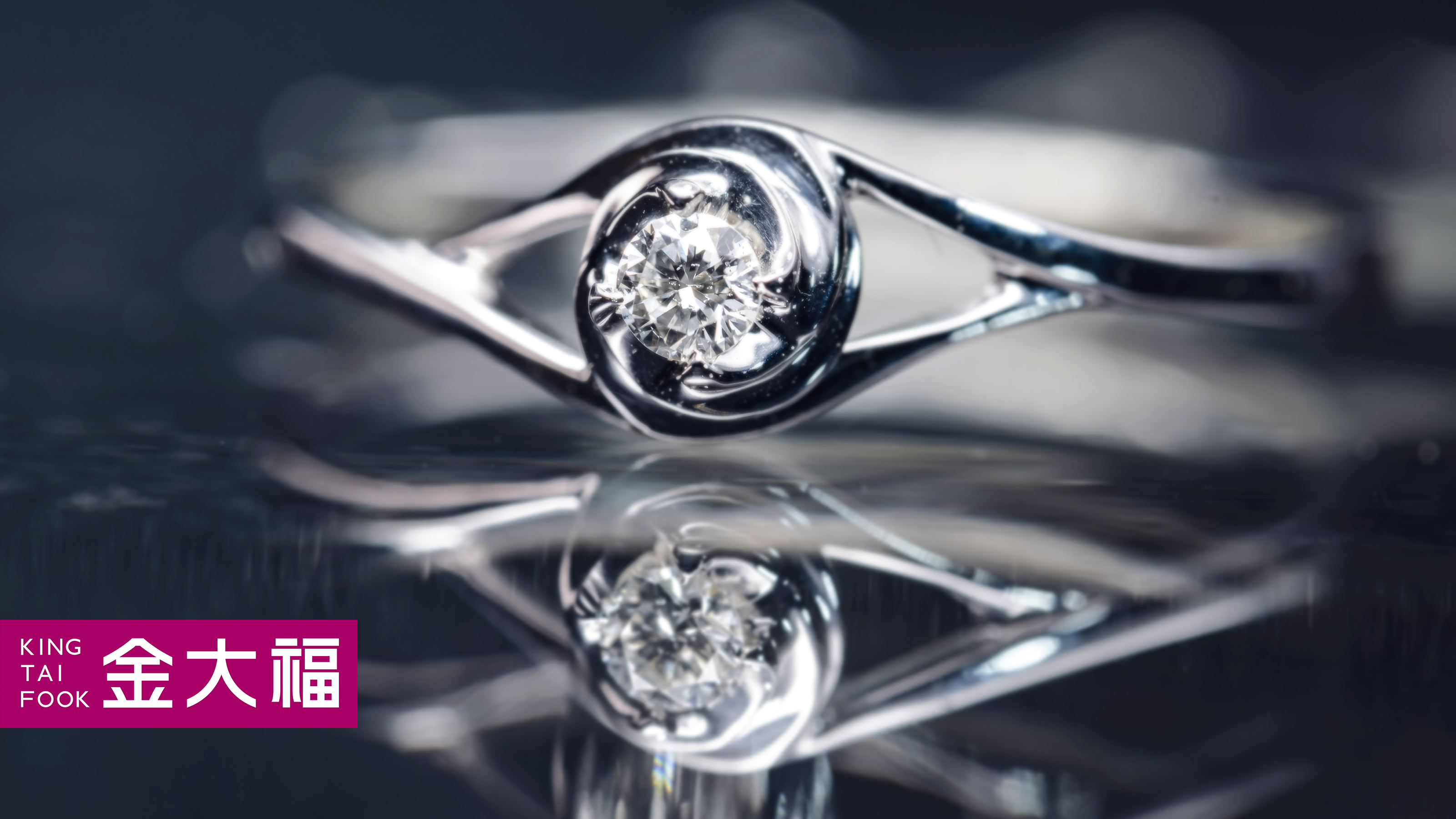 鲸酿鲸喜美食视频,鲸酿鲸喜最新视频