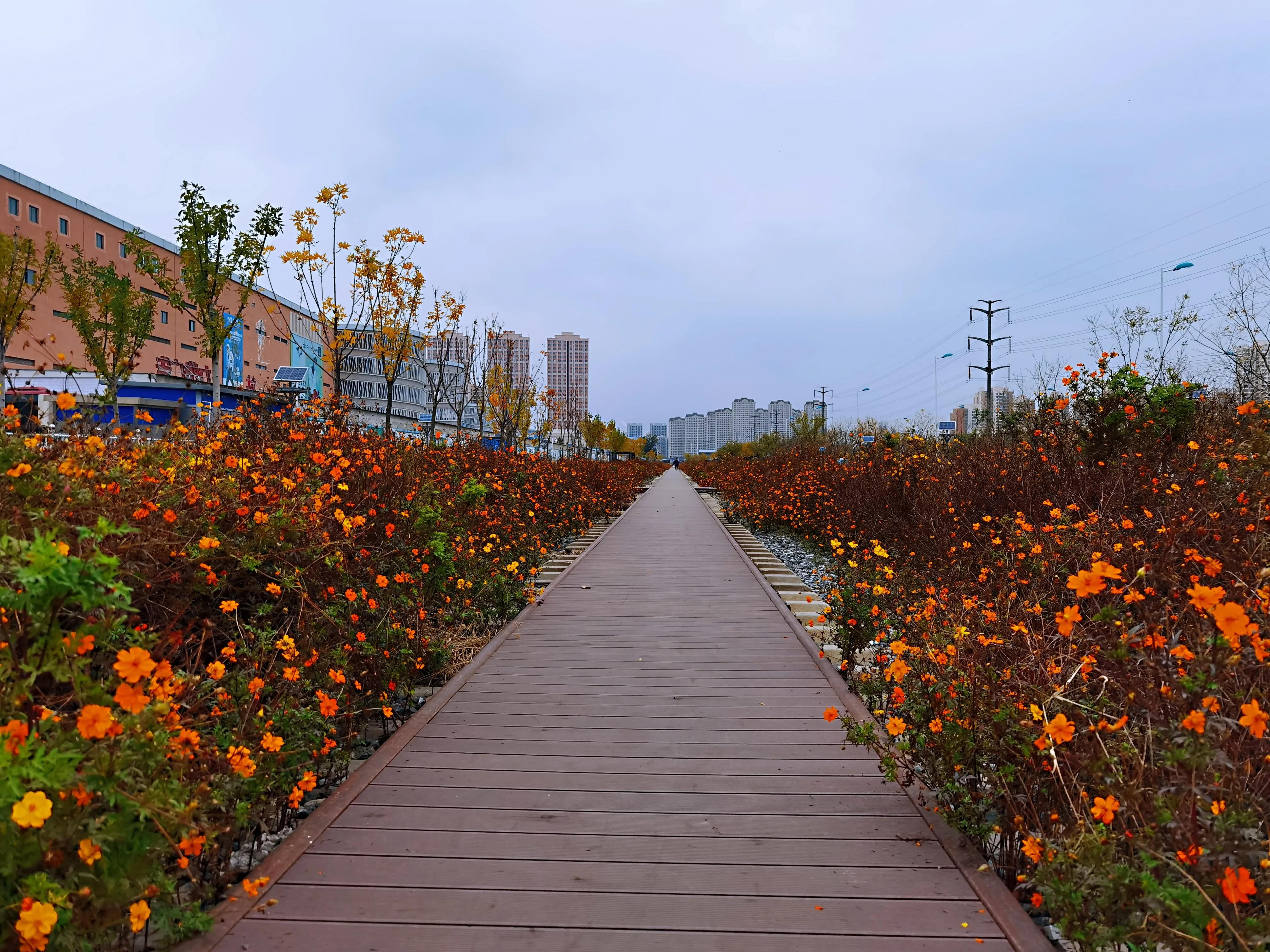 梅江公园风景区特点,信宜梅江公园