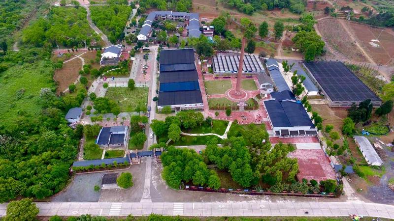 粤港澳大湾区自媒体访韶关：稻花香里说乐昌丰年