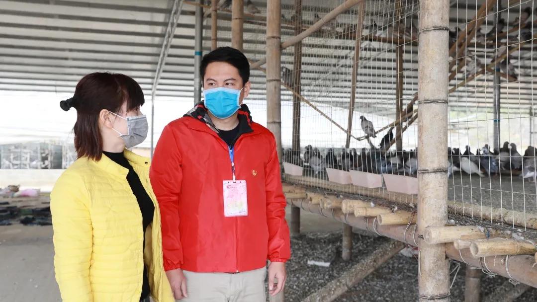 扶绥驻村第一书记,2018年崇左扶绥县委书记