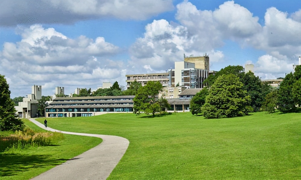 韩网友称江疏影是韩国名字,韩国网民评江疏影