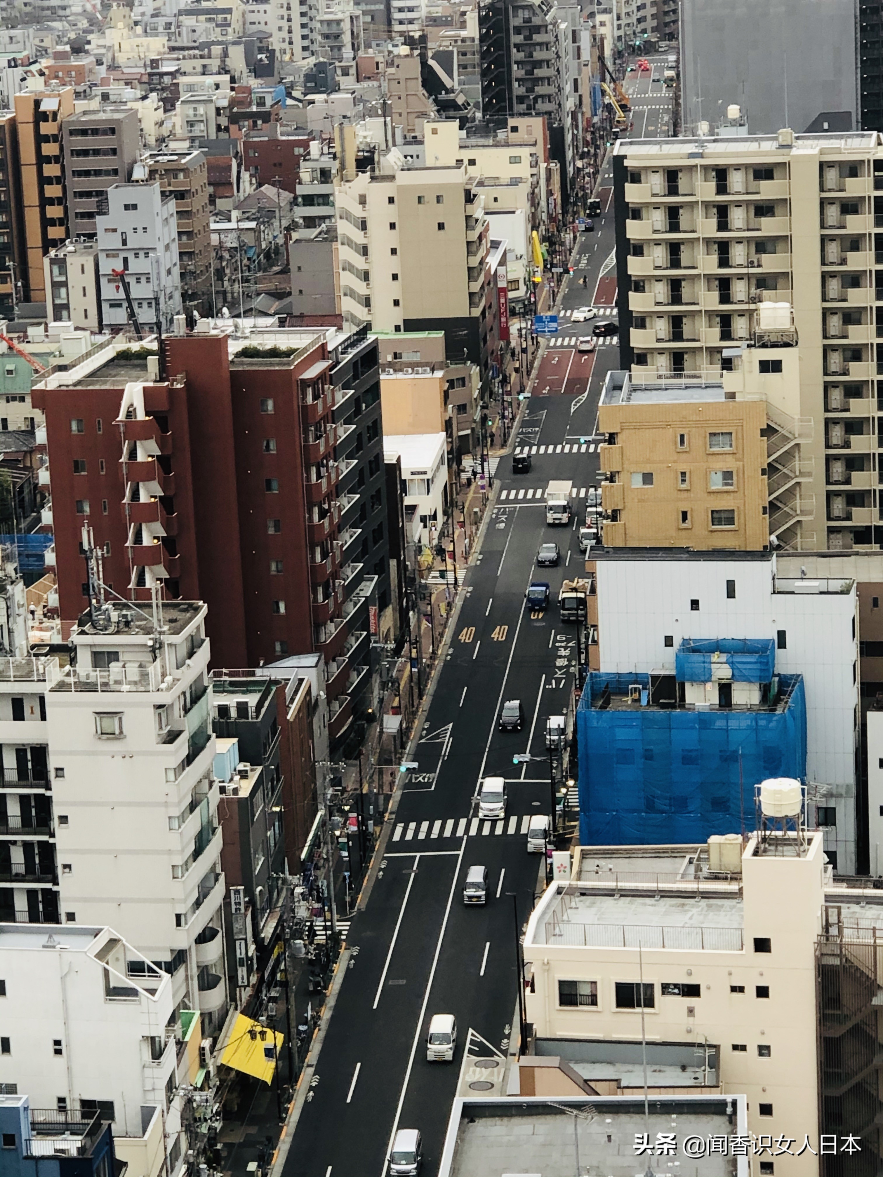 东京都知事是什么,东京都知事全部视频