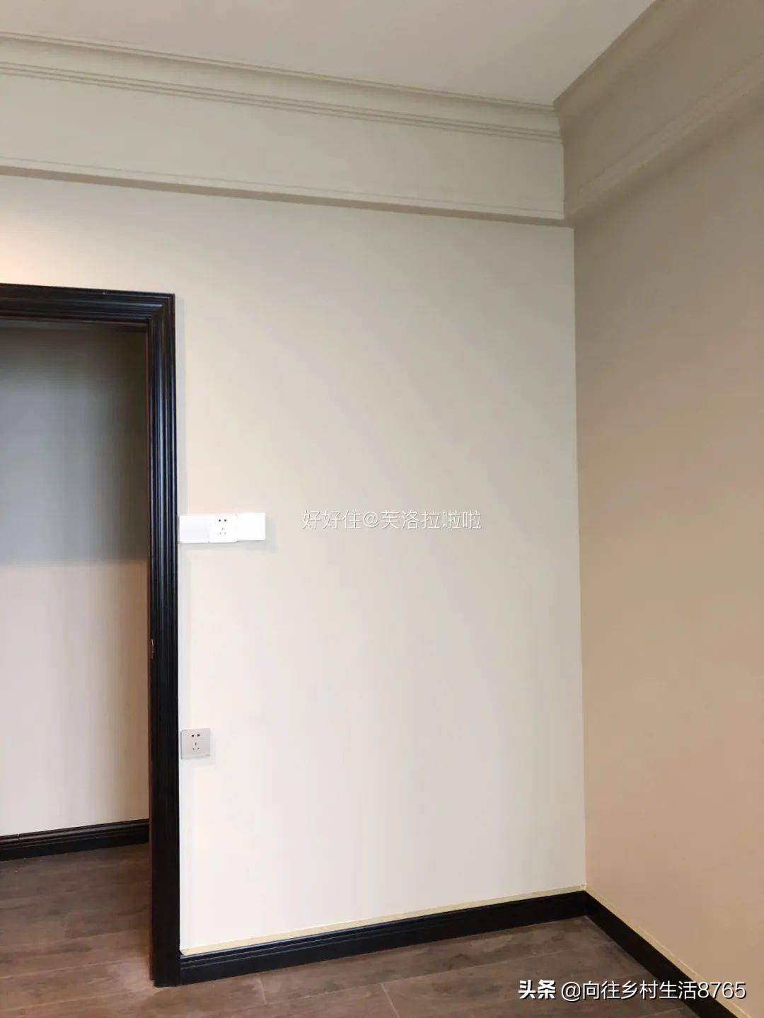 绿色墙怎么刷出高级感,粉色墙怎么装饰成网红墙