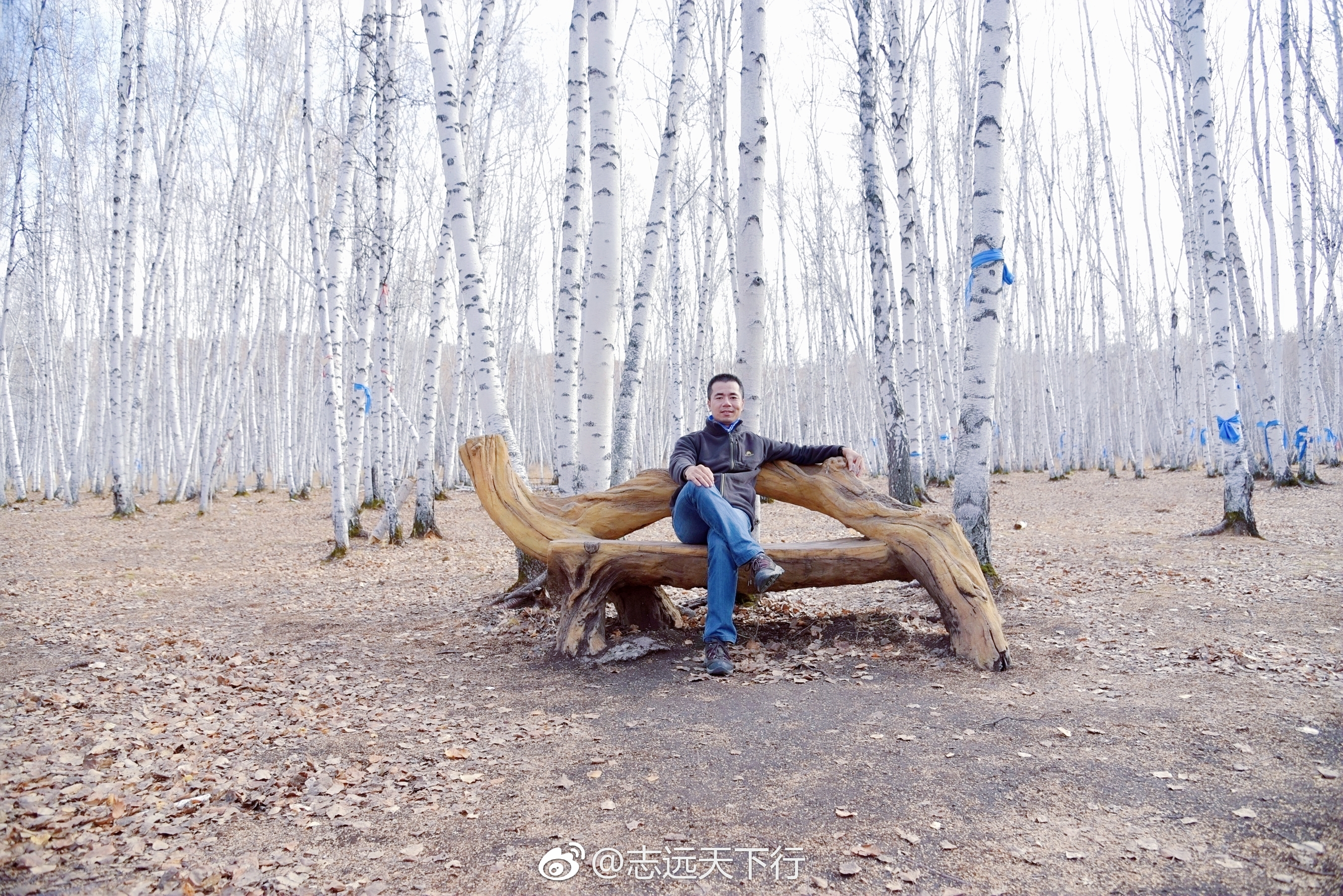 行走的意义解答,行走的意义和感悟