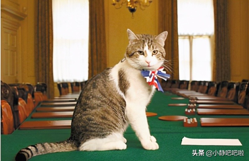 你不知道的国家冷知识日本篇,不得不知道的英国冷知识