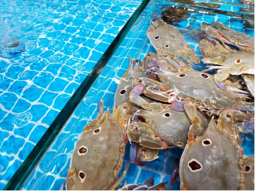 三星note10+深度评测拍照功能,三星note10画质