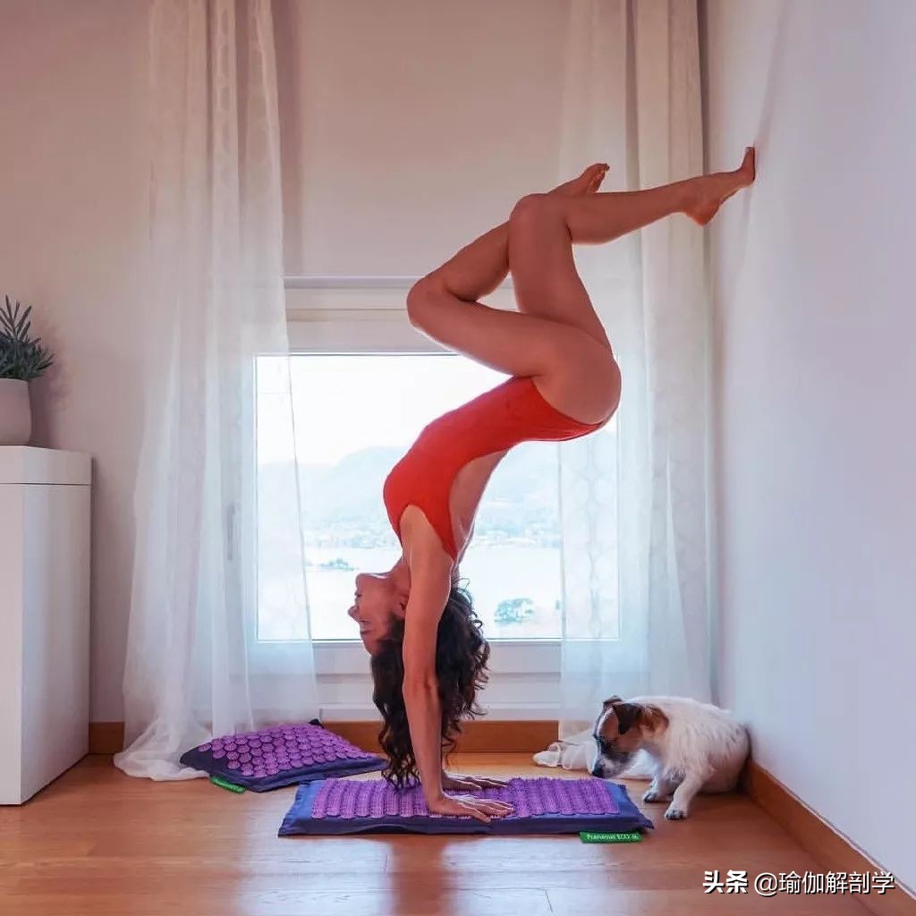 因为你不瑜伽，所以你不知道瑜伽到底有多好……