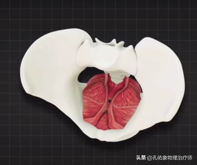 生完孩子后女人都有的苦恼,生完孩子的女人有哪些痛苦