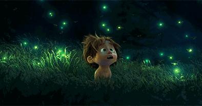 丽水上热搜,浙江丽水现萤火虫星海