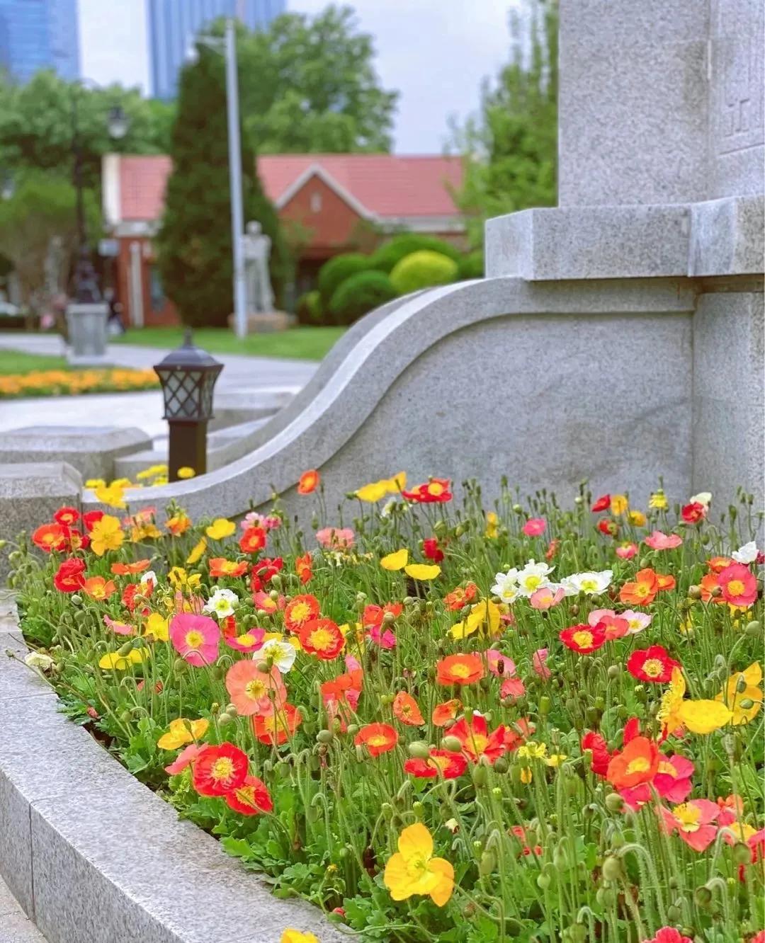 私藏拍照最好的地方,天津适合拍照又安静的地方