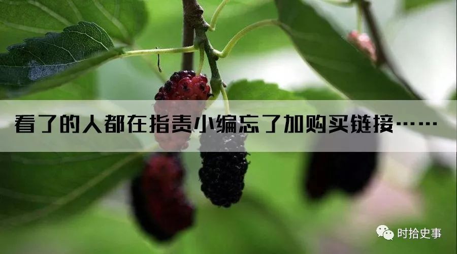 顾全武简介,吴越顾全武