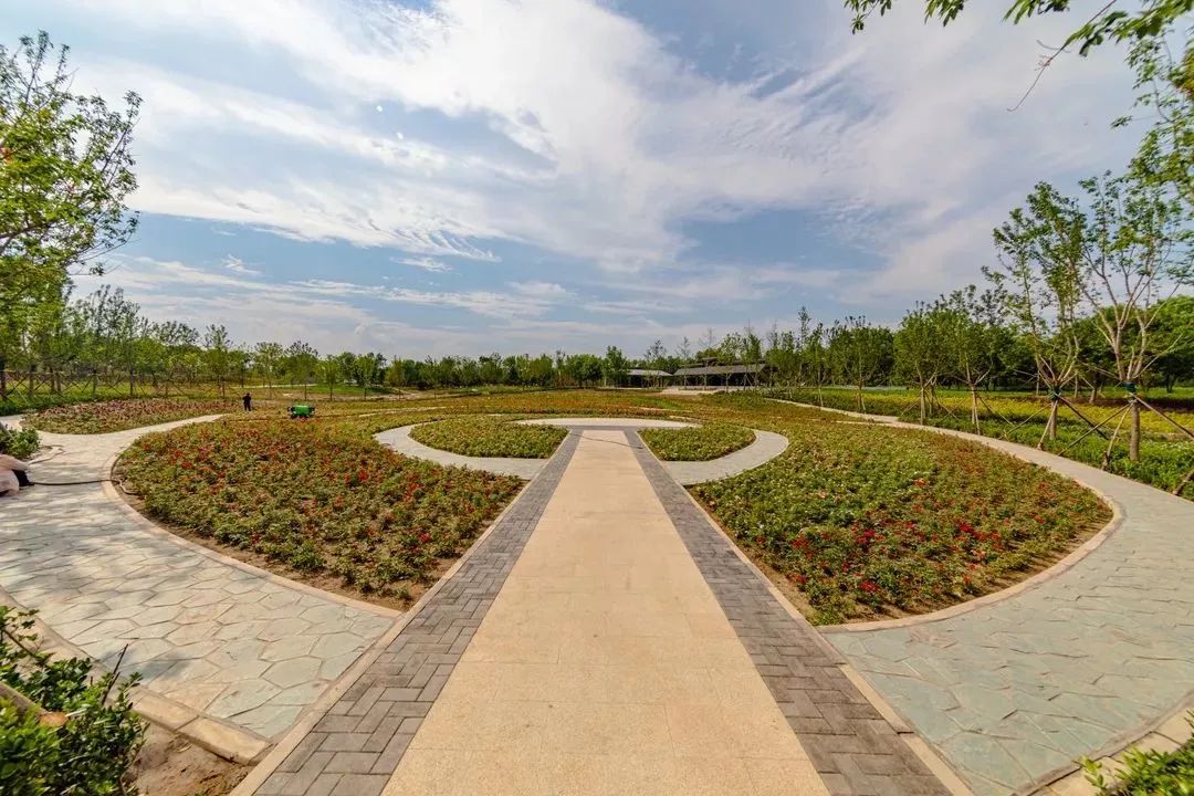 北京五环最美花海,附近免费景点踏青网红打卡地